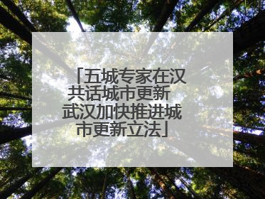 五城专家在汉共话城市更新 武汉加快推进城市更新立法