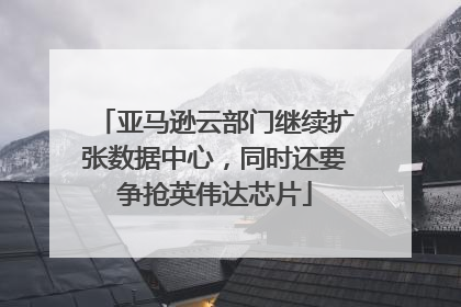 亚马逊云部门继续扩张数据中心，同时还要争抢英伟达芯片