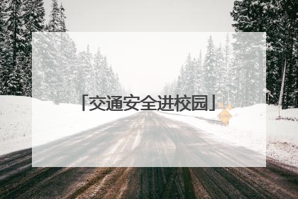 交通安全进校园