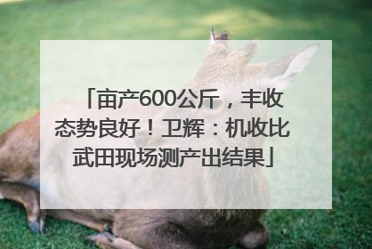 亩产600公斤，丰收态势良好！卫辉：机收比武田现场测产出结果