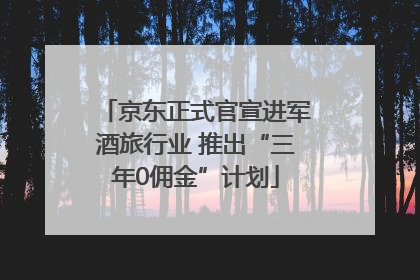 京东正式官宣进军酒旅行业 推出“三年0佣金”计划