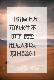 价值上万元的水牛不见了 民警用无人机发现其踪迹