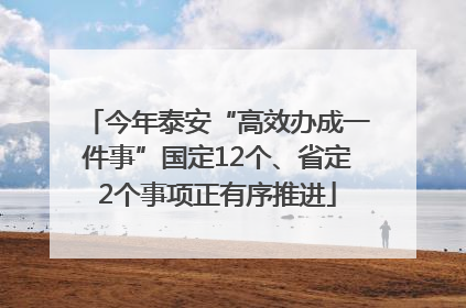 今年泰安“高效办成一件事”国定12个、省定2个事项正有序推进
