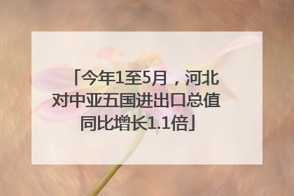 今年1至5月，河北对中亚五国进出口总值同比增长1.1倍