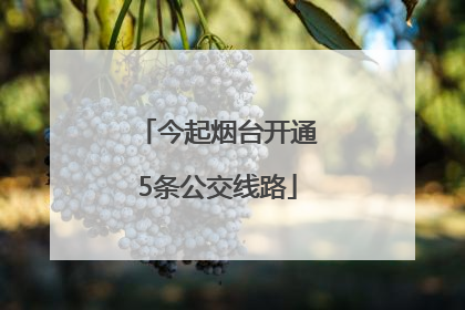 今起烟台开通5条公交线路