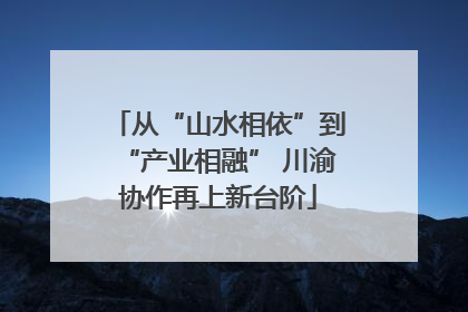 从“山水相依”到“产业相融” 川渝协作再上新台阶