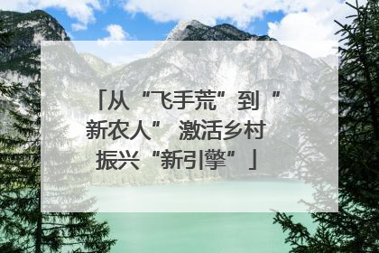 从“飞手荒”到“新农人” 激活乡村振兴“新引擎”