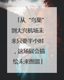 从“鸟巢”到大兴机场未来只要半小时，这场展会描绘未来图景