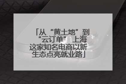 从“黄土地”到“云订单” 上海这家知名电商以新生态点亮就业路
