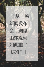 从一场新闻发布会，洞见山东缘何如此重“标准”