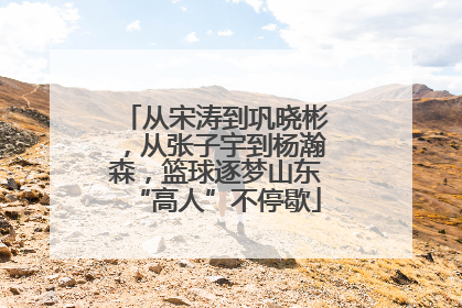 从宋涛到巩晓彬，从张子宇到杨瀚森，篮球逐梦山东“高人”不停歇