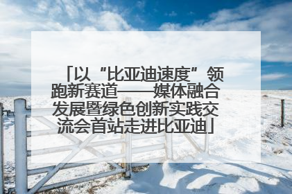 以“比亚迪速度”领跑新赛道——媒体融合发展暨绿色创新实践交流会首站走进比亚迪