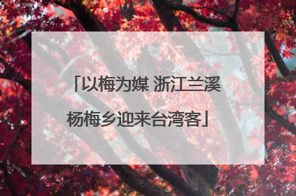 以梅为媒 浙江兰溪杨梅乡迎来台湾客