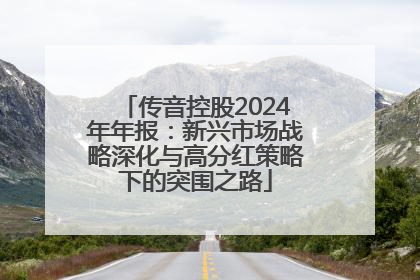传音控股2024年年报：新兴市场战略深化与高分红策略下的突围之路