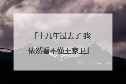 十几年过去了 我依然看不懂王家卫