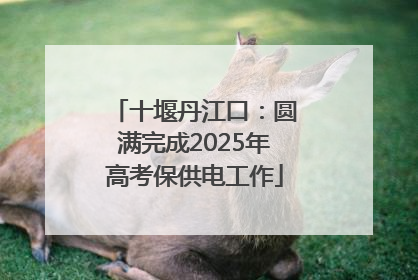 十堰丹江口：圆满完成2025年高考保供电工作