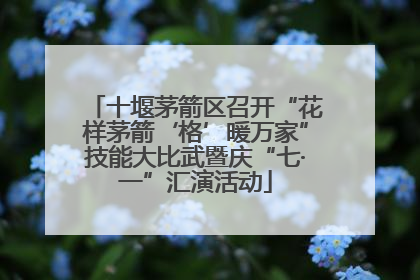 十堰茅箭区召开“花样茅箭‘格’暖万家”技能大比武暨庆“七·一”汇演活动