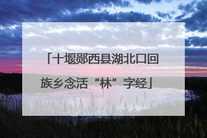 十堰郧西县湖北口回族乡念活“林”字经