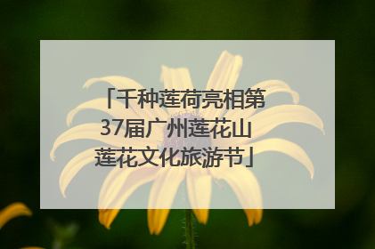 千种莲荷亮相第37届广州莲花山莲花文化旅游节