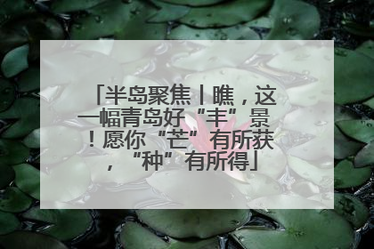 半岛聚焦丨瞧，这一幅青岛好“丰”景！愿你“芒”有所获，“种”有所得