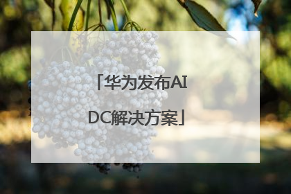 华为发布AI DC解决方案