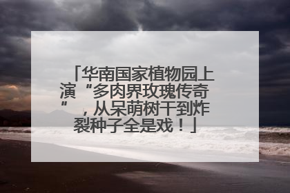华南国家植物园上演“多肉界玫瑰传奇”，从呆萌树干到炸裂种子全是戏！