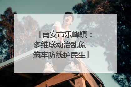 南安市乐峰镇：多维联动治乱象 筑牢防线护民生