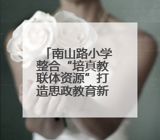 南山路小学整合“培真教联体资源”打造思政教育新范式