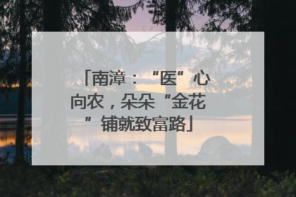 南漳：“医”心向农，朵朵“金花”铺就致富路