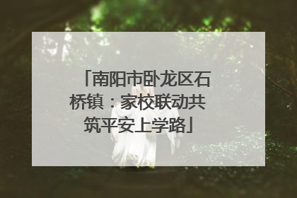 南阳市卧龙区石桥镇：家校联动共筑平安上学路