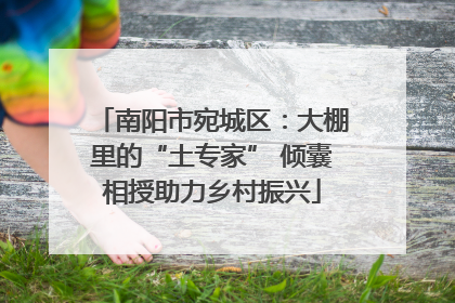 南阳市宛城区：大棚里的“土专家” 倾囊相授助力乡村振兴
