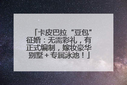 卡皮巴拉“豆包”征婚:无需彩礼,有正式编制,嫁妆豪华别墅+专属泳池!