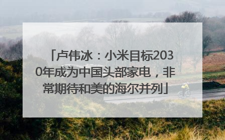 卢伟冰：小米目标2030年成为中国头部家电，非常期待和美的海尔并列