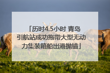 历时4.5小时 青岛引航站成功拖带大型无动力集装箱船出港抛锚