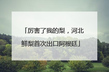 厉害了我的梨，河北鲜梨首次出口阿根廷