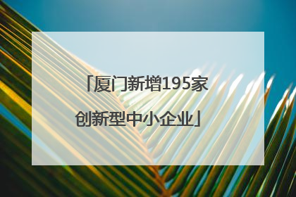 厦门新增195家创新型中小企业