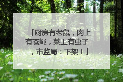 厨房有老鼠，肉上有苍蝇，菜上有虫子，市监局：下架！