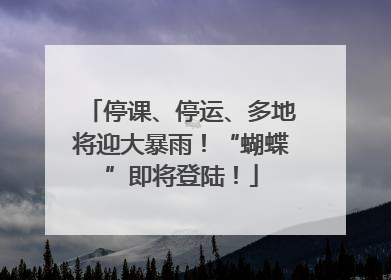 停课、停运、多地将迎大暴雨！“蝴蝶”即将登陆！