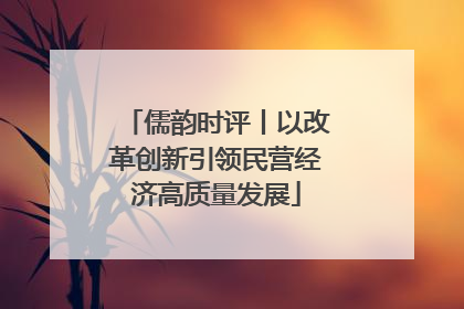 儒韵时评丨以改革创新引领民营经济高质量发展
