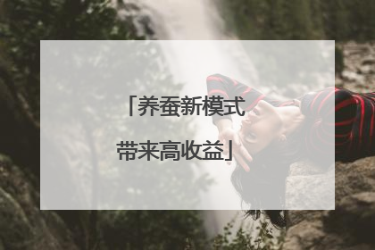 养蚕新模式带来高收益