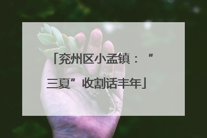 兖州区小孟镇：“三夏”收割话丰年