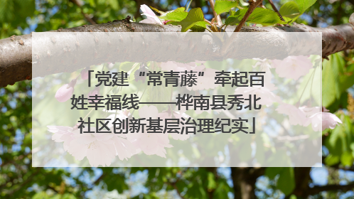 党建“常青藤”牵起百姓幸福线——桦南县秀北社区创新基层治理纪实
