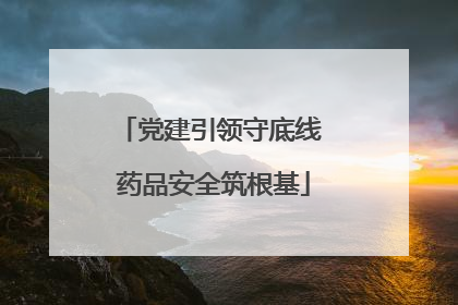党建引领守底线 药品安全筑根基