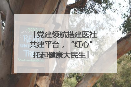 党建领航搭建医社共建平台，“红心”托起健康大民生
