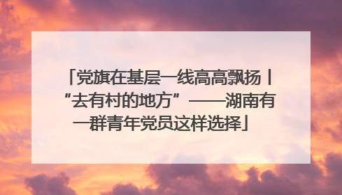 党旗在基层一线高高飘扬丨“去有村的地方”——湖南有一群青年党员这样选择