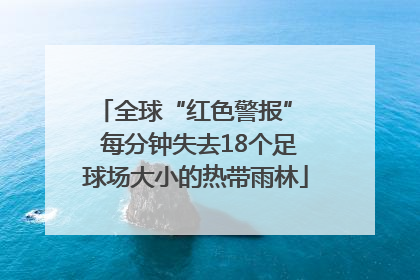 全球“红色警报”  每分钟失去18个足球场大小的热带雨林