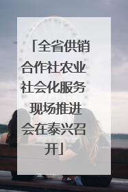 全省供销合作社农业社会化服务 现场推进会在泰兴召开