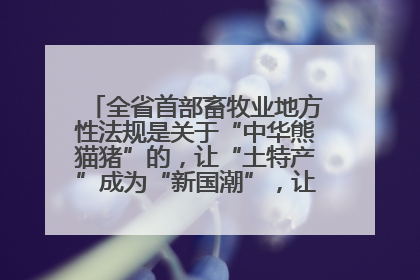 全省首部畜牧业地方性法规是关于“中华熊猫猪”的，让“土特产”成为“新国潮”，让“农产品”升格为“城市IP”