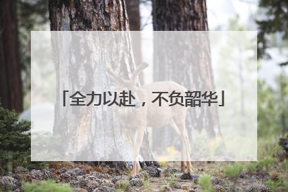 全力以赴，不负韶华