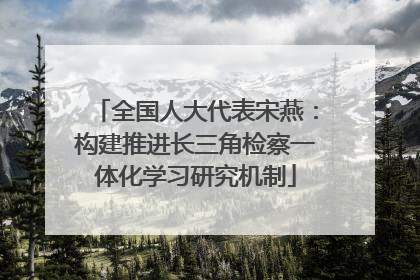 全国人大代表宋燕：构建推进长三角检察一体化学习研究机制